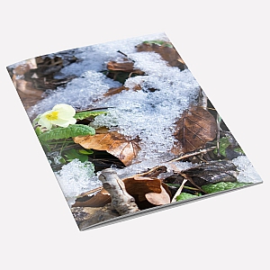 New Primrose A6 Notebook