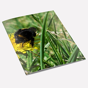 Bumblebee A6 Notebook