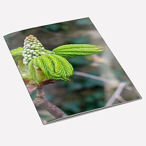 view Tree Buds A6 Notebook details