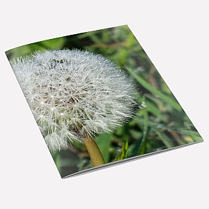 Dandelion Dew Notebook