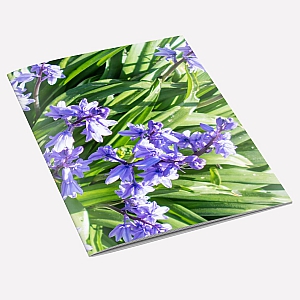 Bluebells Notebook A6