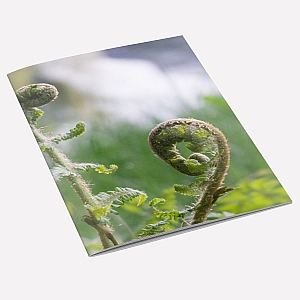 Fern Notebook A6