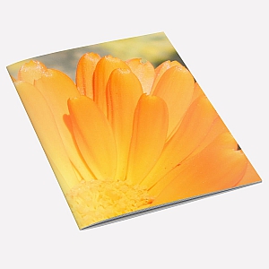 Marigold Notebook