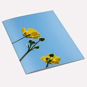 Buttercup Notebook