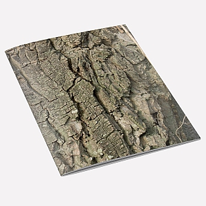 view Walnut Tree Bark Notebook details