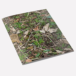 Woodland Floor A6 Notebook