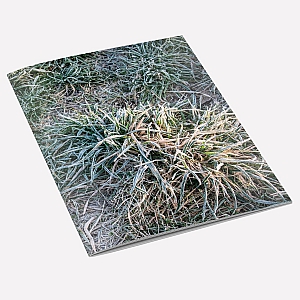 Frosty Grass A6 Notebook