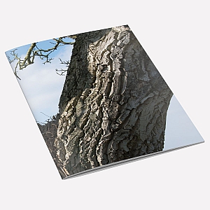 view Walnut Tree A6 Notebook details