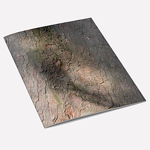 Sycamore Bark A6 Notebook