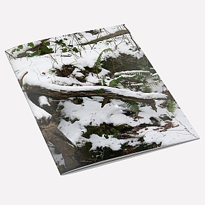 view Snow Tree A6 Notebook details