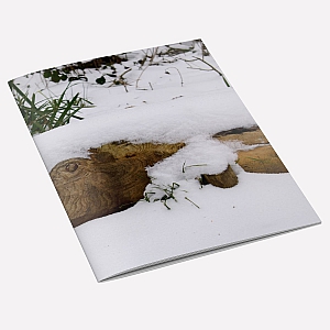 Snow Fish Notebook