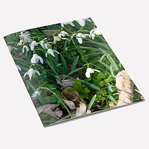 view Snowdrops A6 Notebook details