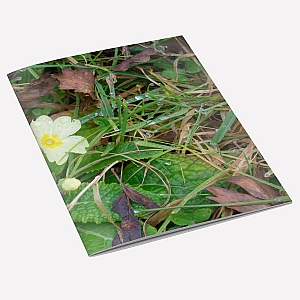 view Wild Primrose A6 Notebook details