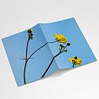 Buttercup Notebook A6