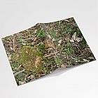 Woodland Floor A6 Notebook