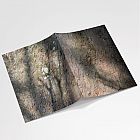 Sycamore Bark A6 Notebook