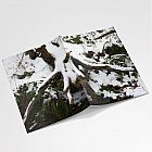 Snow Tree Notebook